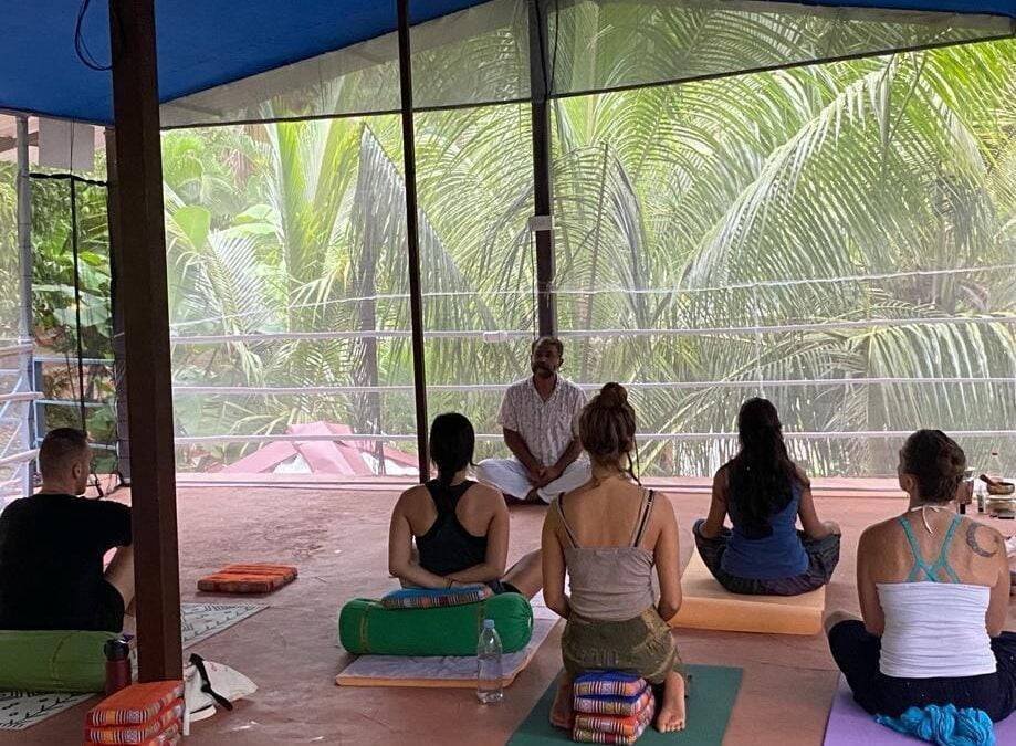 Where Can I Find Yoga Teacher Training in India?
